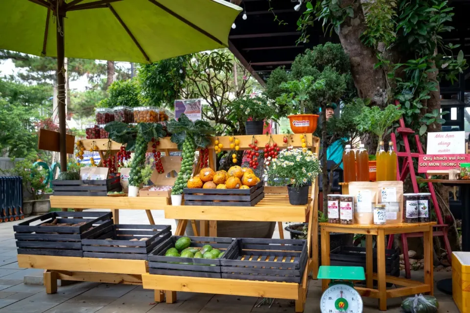 Fresh Seasonal Fruits
